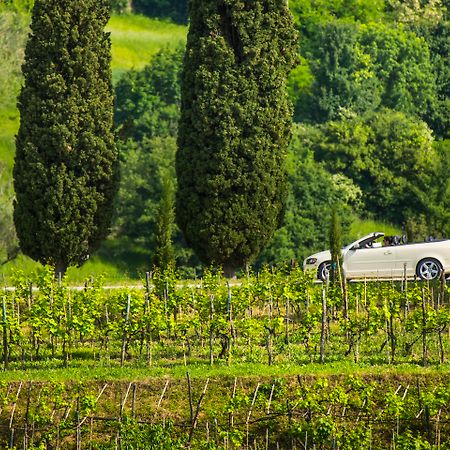 Palazzo Angelica B&B Adults Only Oprtalj Zewnętrze zdjęcie